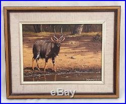 1985 Signed ROB MACINTOSH GREATER KUDU OIL PAINTING South Africa Photo Realism
