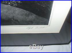 Clyde Butcher1942-Artist Photographer Signed Photo Litho Sunlit Forest Framed