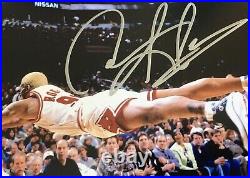 DENNIS RODMAN Autograph Signed Photo 8x10 Chicago Bulls FRAMED Plaque COA