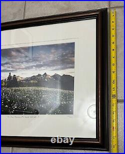 DOUG REMIEN Mountain Meadows Mt Rainer Park 156/400 Limited Signed Framed Photo