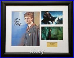 Daniel Radcliffe / Harry Potter / Signed Photo / Autograph / Framed / COA