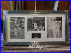 David Gower Signed And Framed Photo