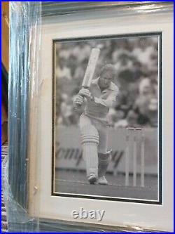 David Gower Signed And Framed Photo