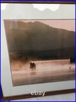 Huge Thomas mangelsen Morning Light Yellowstone River Framed Sold Out Rare Size