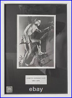 Johnny Weissmuller Actor 100% Guaranteed Hand Signed Framed 12' x 9' Photo & COA