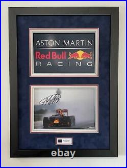 Max Verstappen Red Bull F1 Framed and Hand Signed With COA
