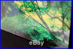 Peter Lik Inner Peace Limitied Edition Photograph 905/950 Signed Framed COA