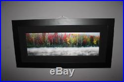 Peter Lik Photograph Misty River 1 Meter 14/950 Signed with COA WOW