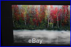 Peter Lik Photograph Misty River 1 Meter 14/950 Signed with COA WOW