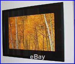 Peter Lik Yellow Signed, Limited edition #112/950. 100cm, dark frame with COA