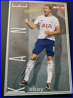 RARE Harry Kane Tottenham Signed Photo Display + COA + FRAMED AUTOGRAPH SPURS