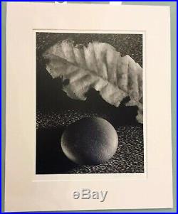 RUTH BERNHARD Pencil Signed SILVER GELATIN PRINT LEAF and STONE DATED 1959
