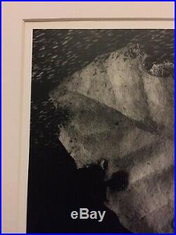 RUTH BERNHARD Pencil Signed SILVER GELATIN PRINT LEAF and STONE DATED 1959