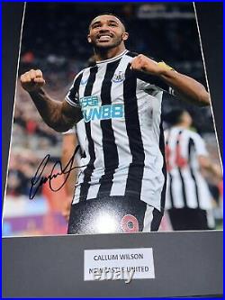 Signed Framed Callum Wilson Newcastle United Autograph Photo Bournemouth England