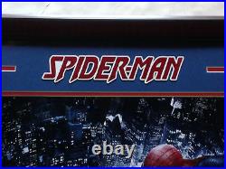 Stan Lee signed Spider-Man 16x20 photo framed Autograph Excelsior hologram coa