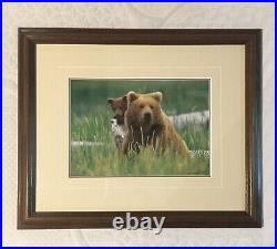 Thomas D. Mangelsen Framed Limited Edition bear Photograph numbered hand signed