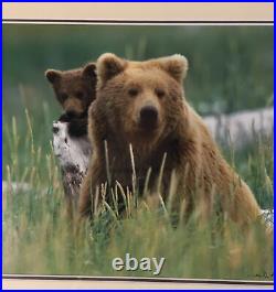 Thomas D. Mangelsen Framed Limited Edition bear Photograph numbered hand signed