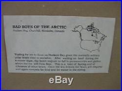 Thomas Mangelsen Bad Boys of the Arctic (1992) 14 x 20 signed photo framed