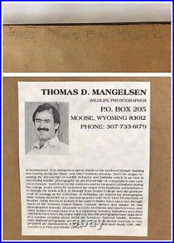 Thomas Mangelsen DENALI MORNING CARIBOU 1985 Signed Limited Edition Framed Print