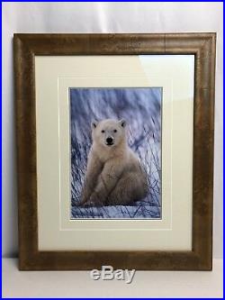 Thomas Mangelsen First Portrait Polar Bear Cub Wildlife Art Photo Print Signed