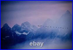 Thomas Mangelsen Out of the Mist Signed & Dated Photo Numbered Print, Framed