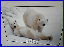 Thomas Mangelsen Polar Bear LAZY BOYS Limited Edition Photo Print 1405/3500